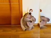 Appartamento 1 camere da letto, Rome Rome 00161 ES92397075