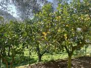 Appartamento 2 camere da letto, Naples Naples 80067...