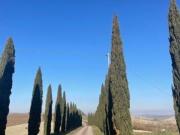 Appartamento 3 locali Rif. V822