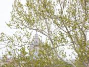 Appartamento 4 camere da letto, Rome Rome 00193 ELS90246877