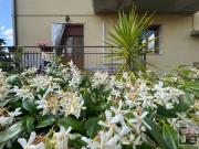 Appartamento 5 vani 190mq