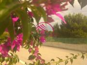 Appartamento 60mq Appartamento 60mq