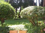 Appartamento a Centro