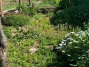 Appartamento arredata con terrazzo Tusa