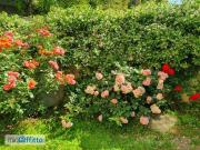 Appartamento arredato Acilia, vitinia, ostia antica,...