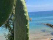 Appartamento arredato Capo rizzuto