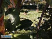 Appartamento arredato Centro