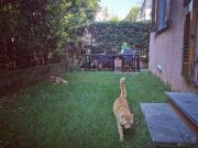 Appartamento arredato Centro