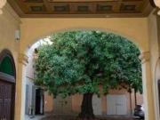 Appartamento arredato Centro storico