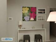 Appartamento arredato Chiesa rossa, cermenate, ripamonti