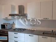 Appartamento arredato Città studi, lambrate, udine, loreto