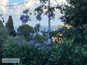 Appartamento arredato con piscina Porto santo stefano