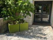 Appartamento arredato con terrazzo Balduina, trionfale,...