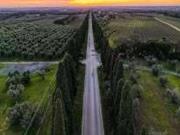 Appartamento arredato con terrazzo Bibbona