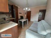 Appartamento arredato con terrazzo Borghesiana,...