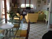 Appartamento arredato con terrazzo Centro