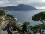 Appartamento arredato con terrazzo Centro