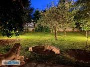 Appartamento arredato con terrazzo Centro