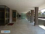Appartamento arredato con terrazzo Città studi,...