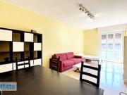 Appartamento arredato con terrazzo Città studi,...