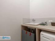 Appartamento arredato con terrazzo Città studi,...