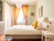 Appartamento arredato con terrazzo Città studi,...