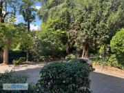 Appartamento arredato con terrazzo Colli