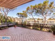 Appartamento arredato con terrazzo Flaminio, fleming,...