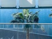 Appartamento arredato con terrazzo Foce