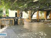 Appartamento arredato con terrazzo Giustiniana, olgiata,...