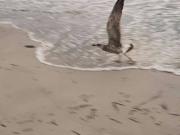 Appartamento arredato con terrazzo Maria pia, fertilia