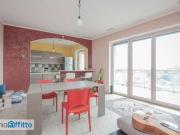 Appartamento arredato con terrazzo Mirafiori sud