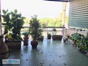 Appartamento arredato con terrazzo Nuovo salario, prati...