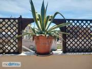 Appartamento arredato con terrazzo Nuovo salario, prati...