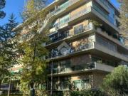 Appartamento arredato con terrazzo Parioli, pinciano