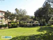 Appartamento arredato con terrazzo Porto rotondo