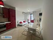 Appartamento arredato con terrazzo San salvario