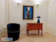 Appartamento arredato con terrazzo San salvario