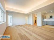 Appartamento arredato con terrazzo Torino