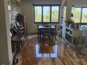 Appartamento arredato con terrazzo Trieste, salario