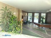 Appartamento arredato Fiera, firenze, sempione, paolo...