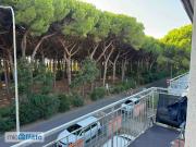 Appartamento arredato Mazzanta