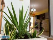 Appartamento arredato Messina Appartamento arredato Messina