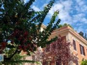 Appartamento arredato Parioli, pinciano