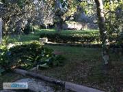 Appartamento arredato Rifredi