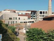 Appartamento Aurelio/gregorio vii/ubaldi/san pietro