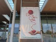 Appartamento bilocale 40mq