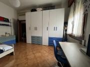 Appartamento BILOCALE in affitto a Bologna Bo