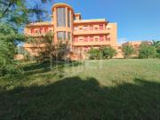 Appartamento Bilocale in Affitto a Calambrone, Pisa