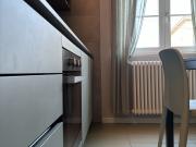 Appartamento BILOCALE in affitto a Colorno Pr